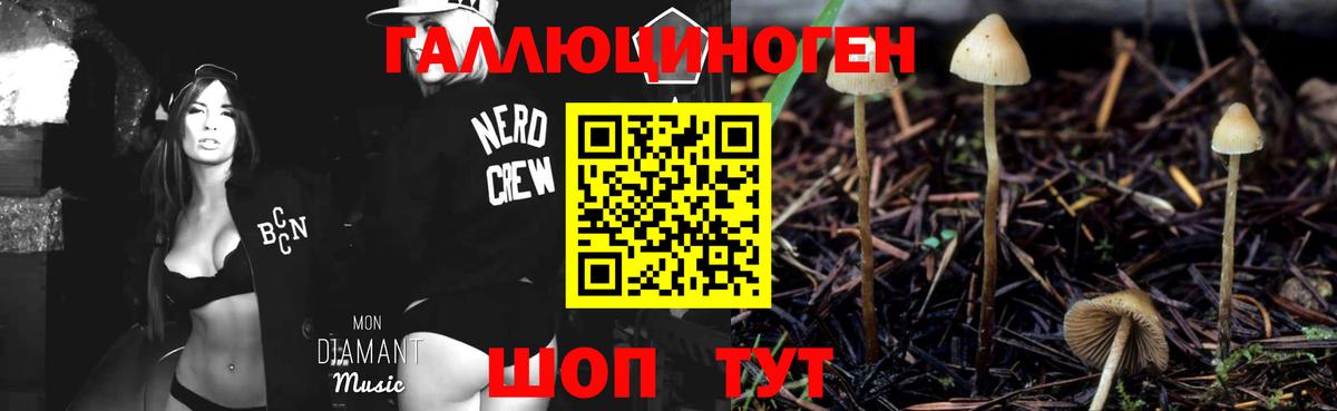 Темрюк  Псилоцибиновые грибы Psilocybine cubensis  Вход с VPN 